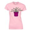 Softstyle™ women's ringspun t-shirt Thumbnail